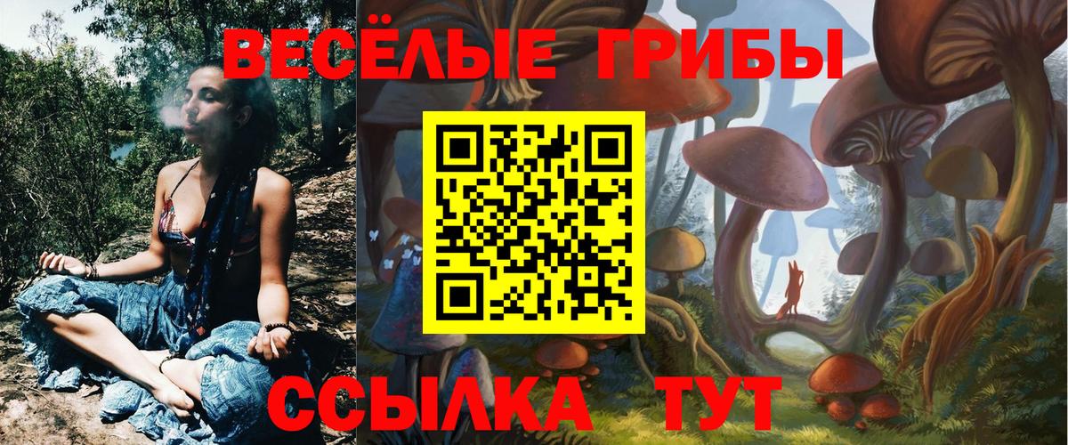 Галлюциногенные грибы MAGIC MUSHROOMS Сердобск